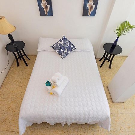Vieques Tropical Guest House Buitenkant foto