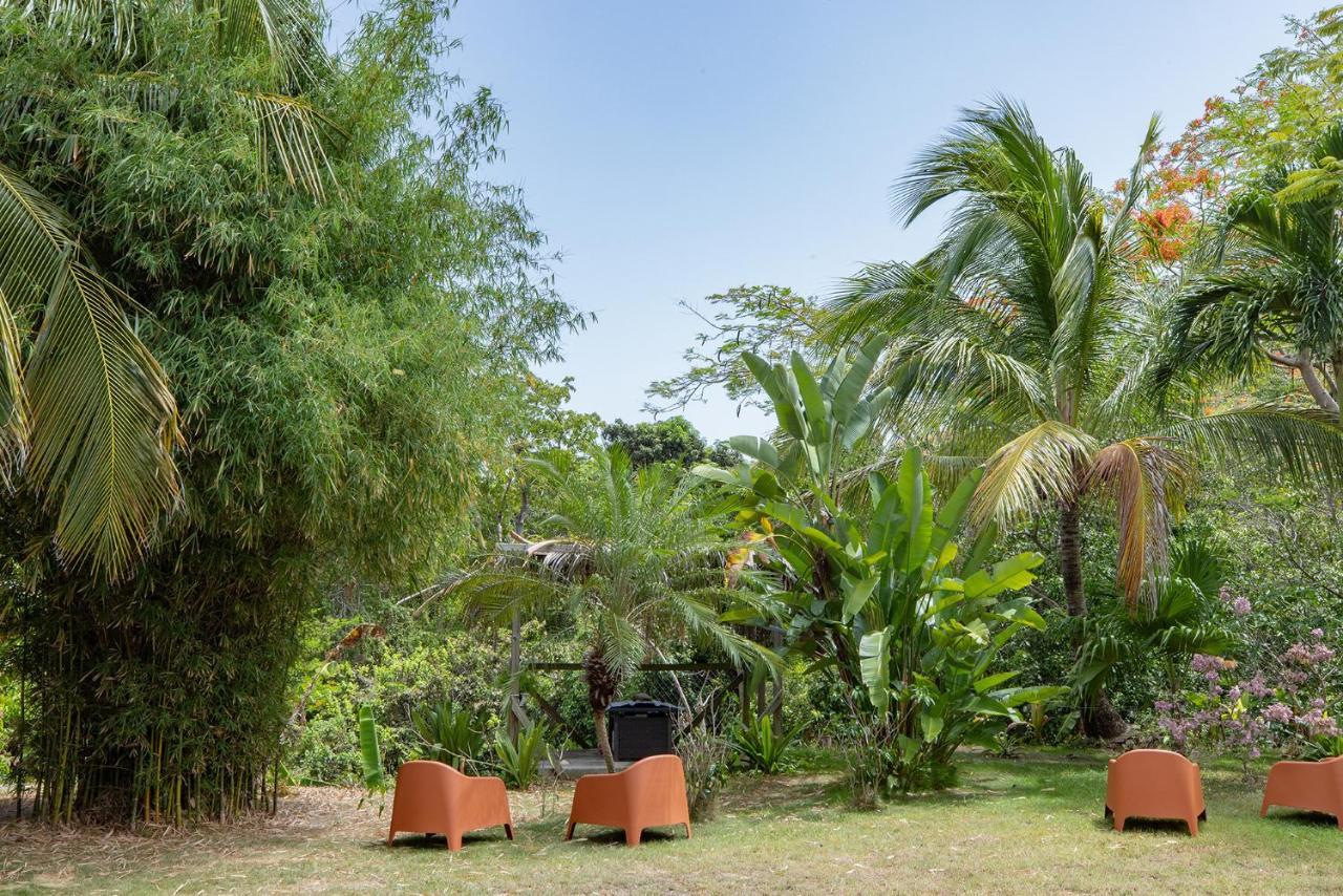 Vieques Tropical Guest House Buitenkant foto